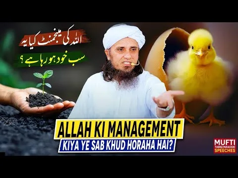 AllahKiManagementkyaYeSabKhudHorahaHai